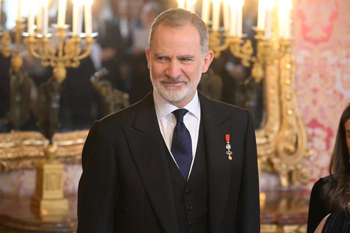 El Rey Felipe VI