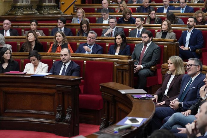 El conseller de Presidència de la Generalitat, Albert Dalmau, al Parlament