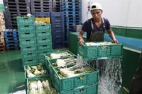 Médicos del Mundo y EAPN Baleares valoran positivamente la regularización extraordinaria de migrantes