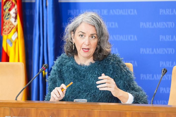 La portavoz adjunta del Grupo Mixto-AdelanteAndalucía, Begoña Iza, durante la ronda de ruedas de prensa de portavoces de los grupos parlamentarios en el Parlamento de Andalucía, a 29 de enero de 2026 en Sevilla (Andalucía, España). Los portavoces de los g