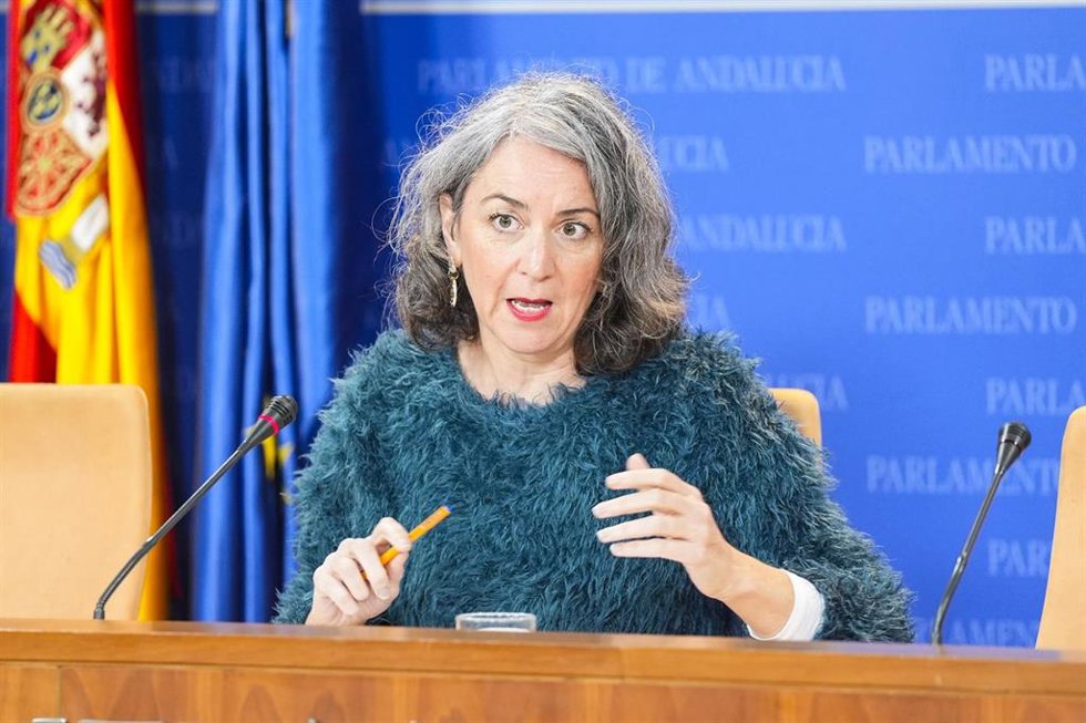 La portavoz adjunta del Grupo Mixto-AdelanteAndalucía, Begoña Iza, durante la ronda de ruedas de prensa de portavoces de los grupos parlamentarios en el Parlamento de Andalucía, a 29 de enero de 2026 en Sevilla (Andalucía, España). Los portavoces de los