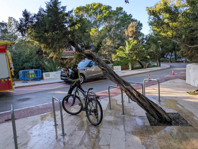 Actuaciones de los bomberos de Formentera tras los fuertes vientos
