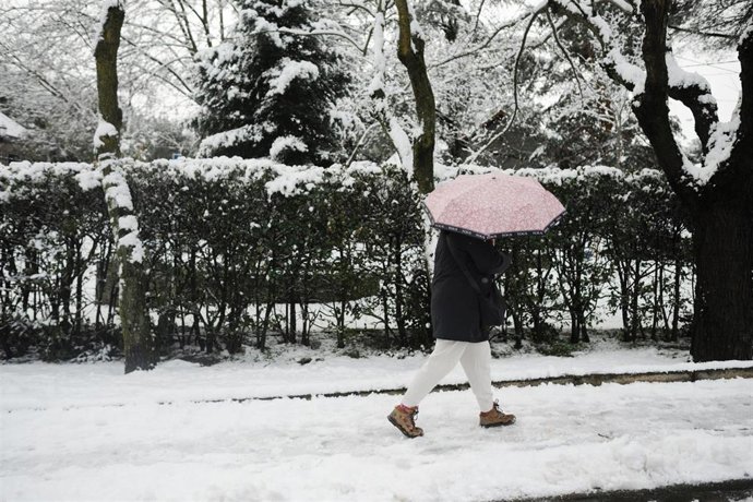 Una persona pasea por la nieve