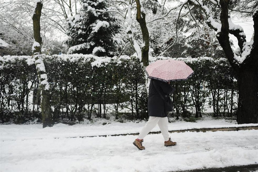 Una persona pasea por la nieve