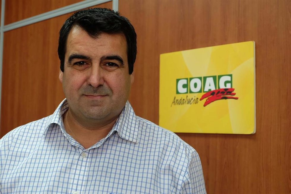 Archivo - El secretario provincial de COAG en Almería y responsable estatal de Frutas y Hortalizas de la organización, Andrés Góngora.