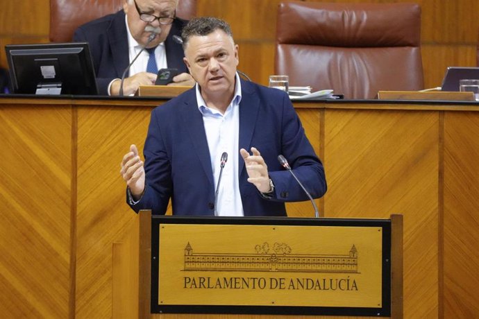 Archivo - El candidato de Podemos Andalucía a la Presidencia de la Junta y diputado de Por Andalucía, Juan Antonio Delgado, en una imagen de archivo en el Pleno del Parlamento. 