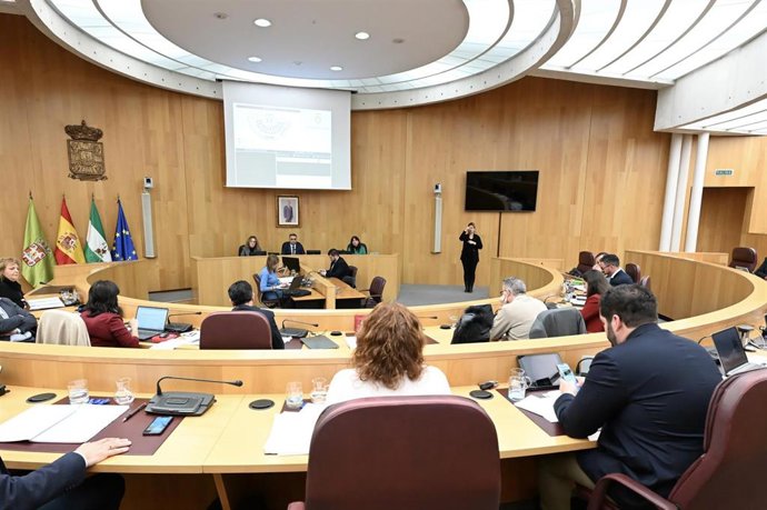 Pleno de la Diputación de Granada.