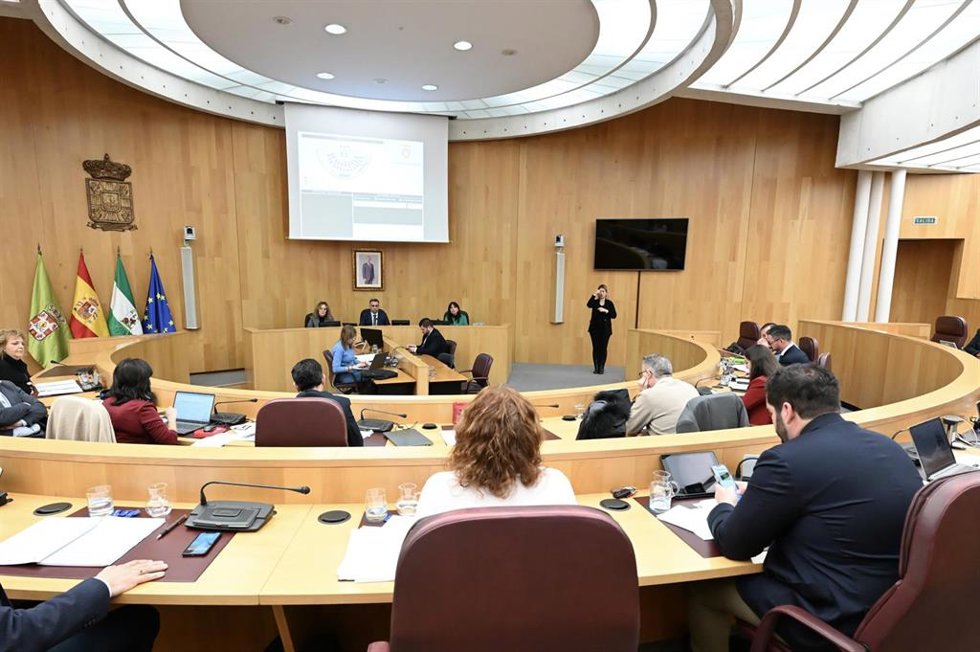 Pleno de la Diputación de Granada.