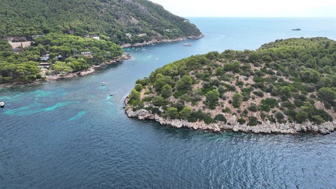 Plano general de varios barcos en una zona de la costa de Baleares.