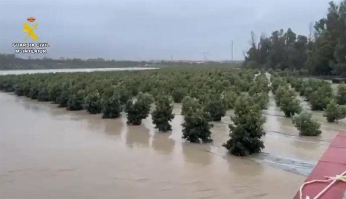 Uma zona rural de Jerez inundada pela cheia do rio Guadalete