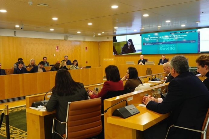 Pleno de la Diputación de Sevilla.