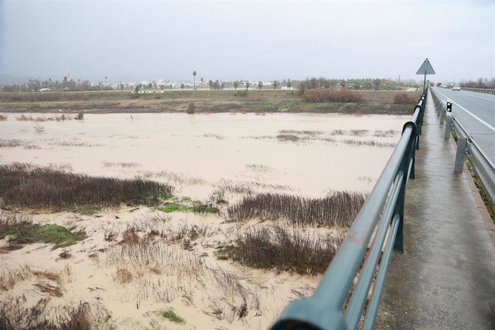 Imagen del río Guadalquivir a su paso por la localidad sevillana de Lora del Río mostrando una importante subida de caudal tras las últimas lluvias dejadas por la borrasca Joseph.