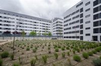 Más Madrid culpa a Almeida de que la vivienda preocupe a más de la mitad de los madrileños: "Nos están robando Madrid"