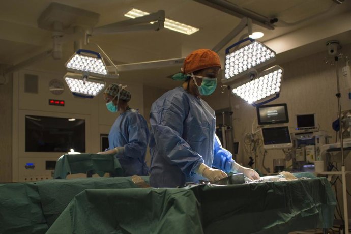 Archivo - La fotografía ganadora de la categoría general ha sido 'Imprescindibles', de José Tomás Rojas, un enfermero de Granada.