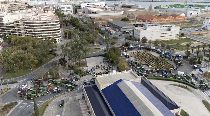 Imagen de la tractorada de este jueves en la ciudad de Alicante