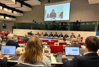 La conselleira do Mar, Marta Villaverde, en una conferencia en Bruselas