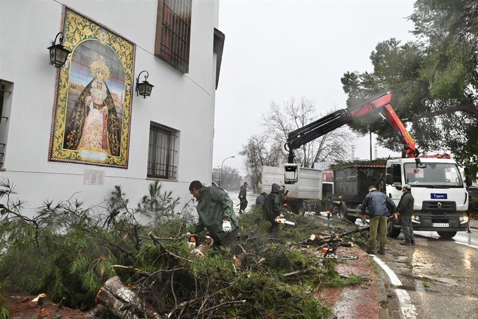 Operarios municipales retirando ramas y árboles caídos por los efectos de la borrasca 'Kristin'.