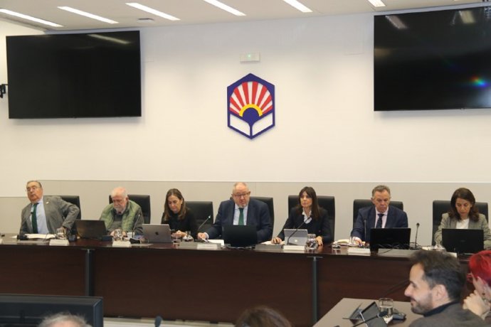 El rector, Manuel Torralbo (centro), durante el consejo de gobierno de la Universidad de Córdoba.