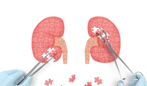 notibrasil sociedade