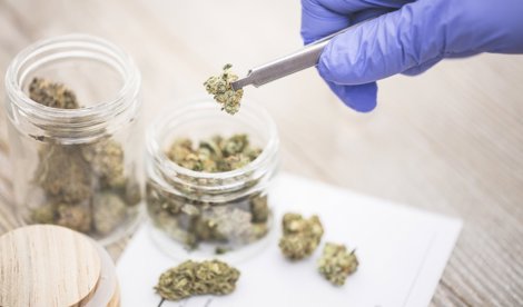 notibrasil sociedade