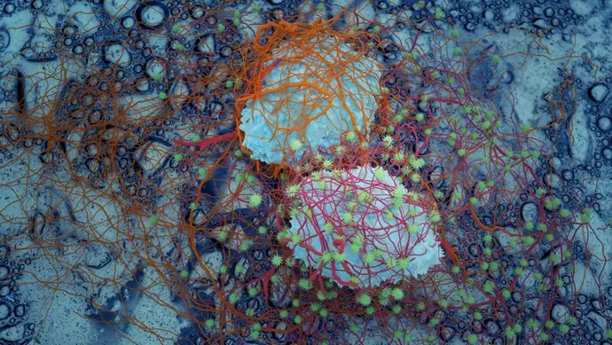 División de células cancerosas