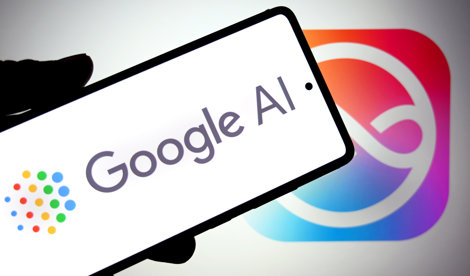 notibrasil sociedade