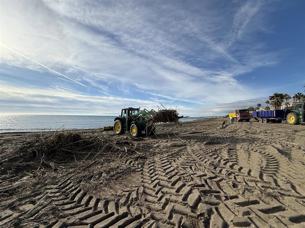 Estepona intensifica la limpieza de las playas por el temporal y retira más de 2.500 metros cúbicos de cañas