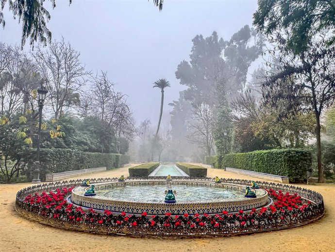 Archivo - Un estanque de los jardines del Parque de María Luisa, en foto de archivo.