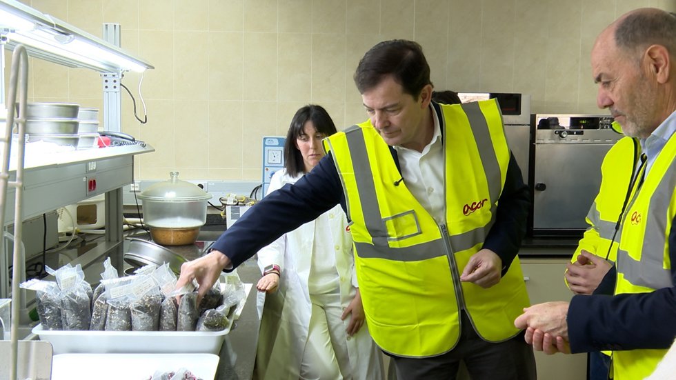 El presidente de la Junta de Castilla y León y candidato del PP a la reelección, Alfonso Fernández Mañueco