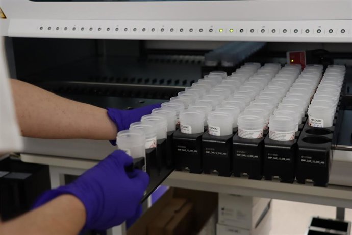 Procesamiento de las muestras