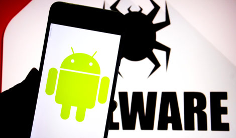 notibrasil sociedade