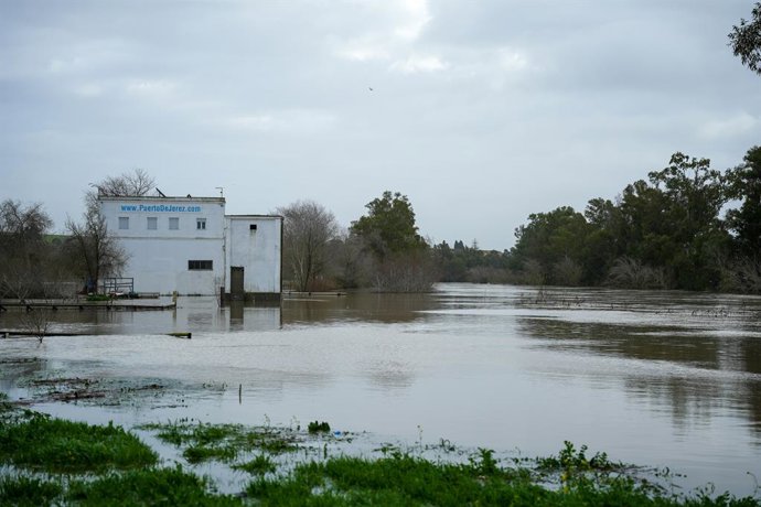 Cheia do rio Guadalete ao passar pela zona rural de Jerez de la Frontera (Cádiz).