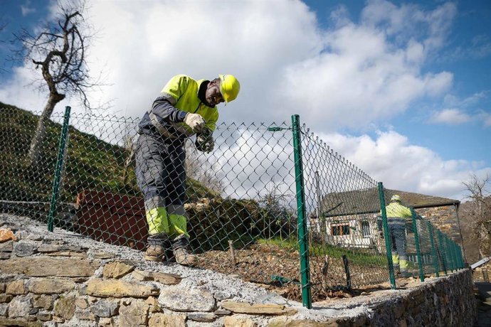 Archivo - El trabajador senegalés Assane Camara durante su jornada laboral, a 27 de febrero de 2025, en Cervantes, Lugo, Galicia (España).