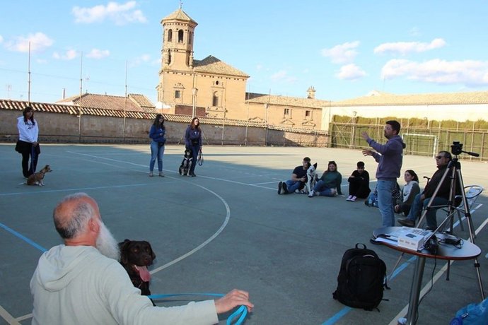 Archivo - Una sesión de la microcredencial sobre guía canino en intervención asistida con perros.