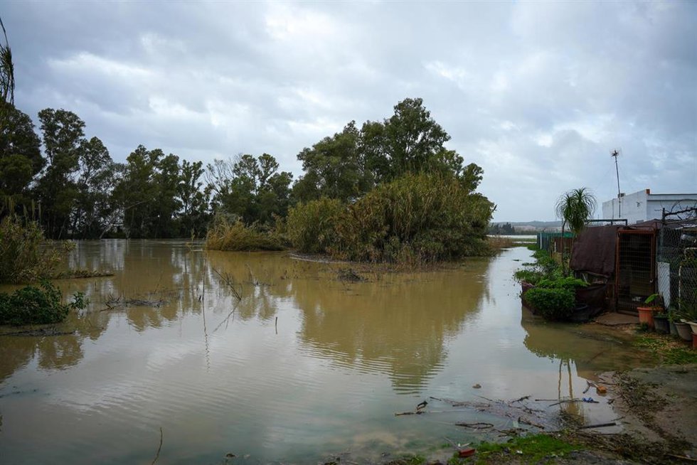 Imágenes del río Guadalete a su paso por la barriada de la Corta . A 30 de enero de 2026 en Jerez de la Frontera, Cádiz (Andalucía, España). 