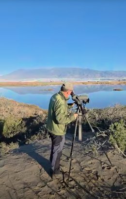 Observación de aves en un humedal de Almería.