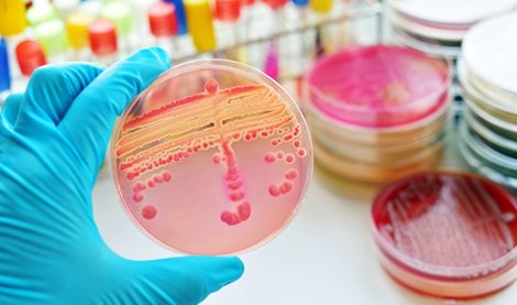 notibrasil sociedade