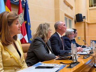 El Pleno del Ayuntamiento de Segovia aprueba implantar el sistema de videoactas y la Ordenanza de Bajas Emisiones