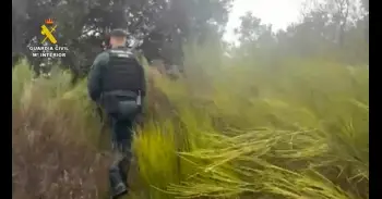 Buscan a un hombre de 63 años desaparecido en Cenicientos cuando iba a buscar leña