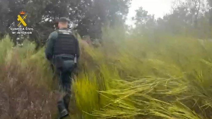 Vídeo de la noticia