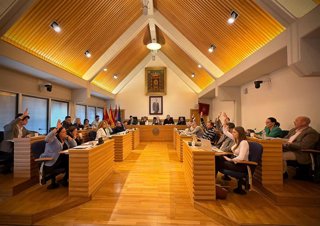 Pleno en el Ayuntamiento de Ciudad Real.