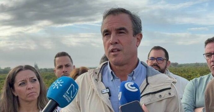El portavoz del PSOE en el organismo supramunicipal y alcalde de Bollullos Par del Condado, Rubén Rodríguez.