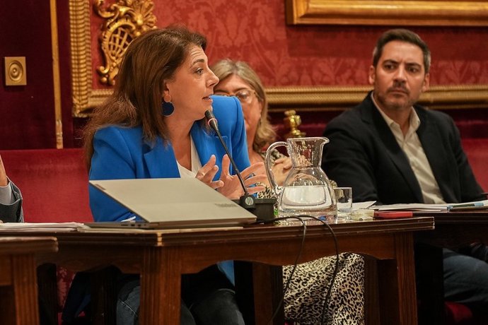 La portavoz del Grupo Municipal Socialista en el Ayuntamiento de Granada, Raquel Ruz.