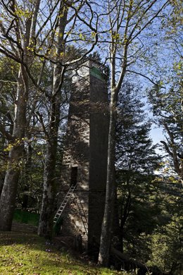 Palomeras de Etxalar.