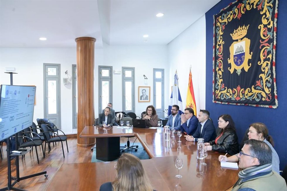 Reunión entre el Gobierno de Canarias, la Fecam y el Ayuntamiento de Fasnia sobre la oficina virtual de reto demográfico