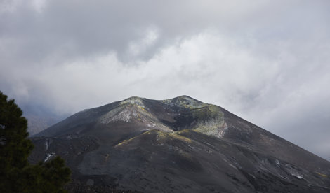 notibrasil sociedade