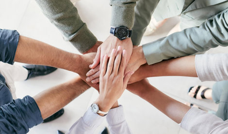 notibrasil sociedade