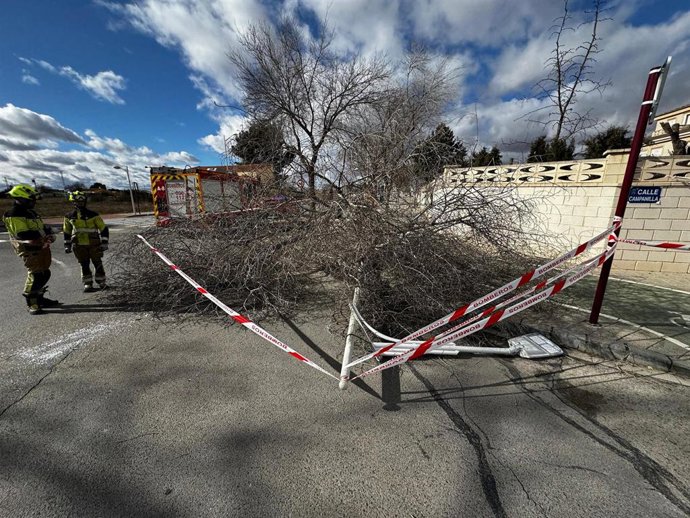 Incidencias causadas por las fuertes rachas de viento que se registran en Albacete.