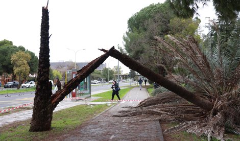 Es Andalucía - Sevilla