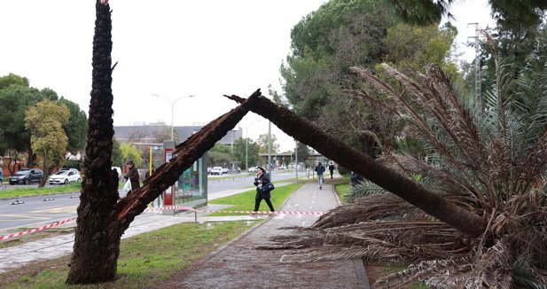 Es Andalucía - Sevilla